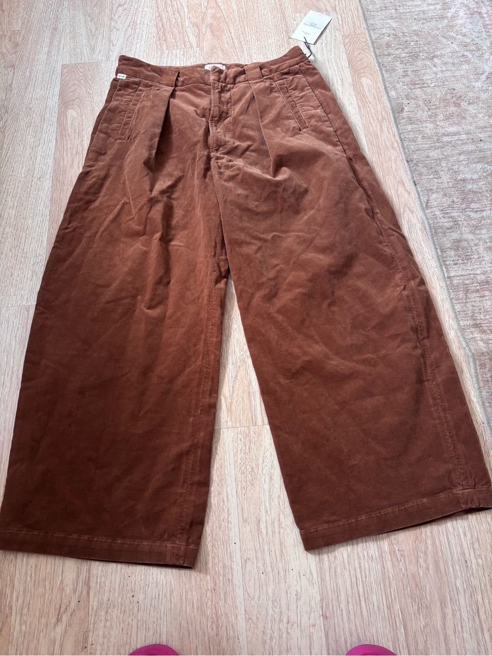 NWT Citizens of Humanity Cara cropped pleated Trouser size 27